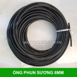 Ban Ong Phun Suong.jpg