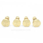 Bec Phun Thuoc Sau Tuoi Cay Dieu Chinh