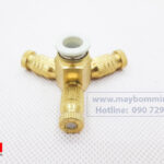 De Gan Bec Tuoi Lan.jpg