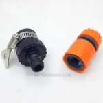 Noi Romine Ong 21.jpg