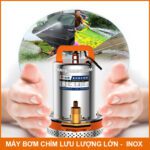 Sung May Bom Nuoc Chim Nuoc Ngap