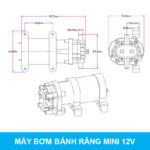Thong So May Bom Banh Rang 550