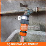 Noi Ong Nuoc Voi Voi Rumine