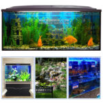 May Bom Nuoc Ho Be Ca Trong Nha Cao Cap