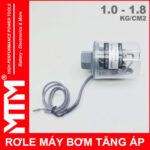 Role May Bom Nuoc Ap Luc Tu Dong 1 18kg Cao Cap