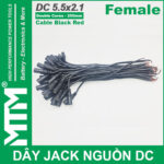 Day Jack DC 250mm Cai Female Jack Cable Adapter Plug Power Supply Cao Cap