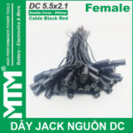 Day Jack DC 250mm Cai Female Jack Cable Adapter Plug Power Supply Gia Re